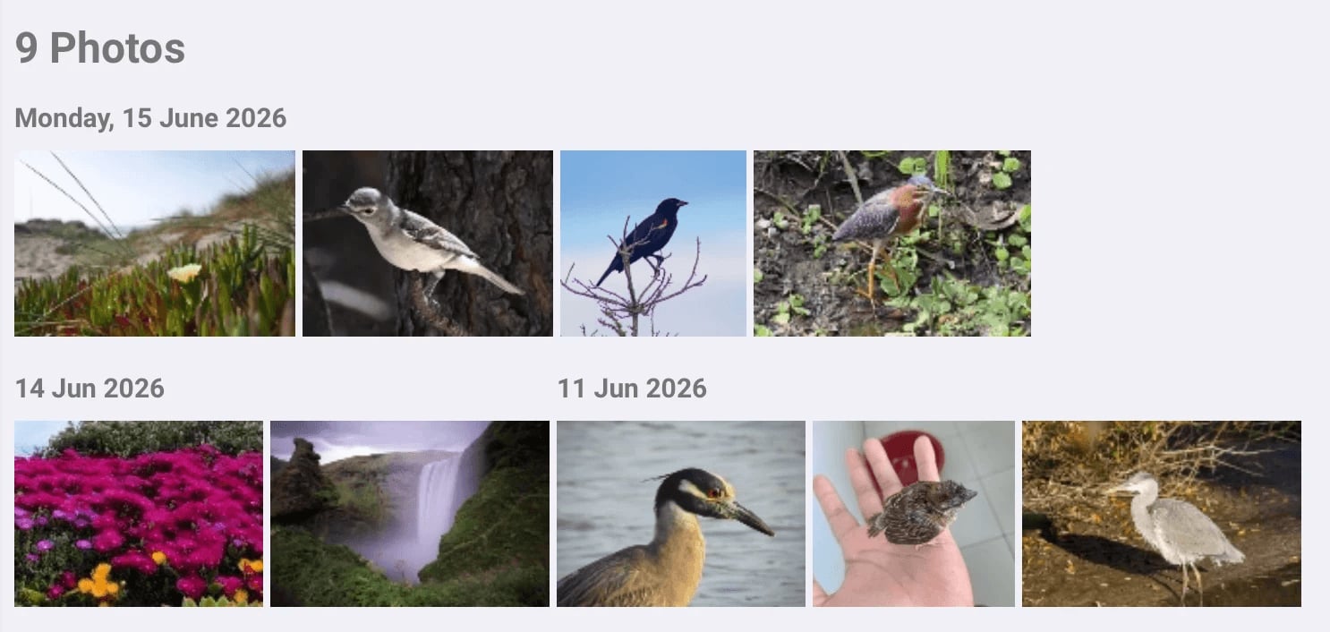 The redesigned Bird Journal photo gallery, with photos tiled and grouped by day