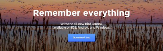 Remember Everything, with the All-New Bird Journal